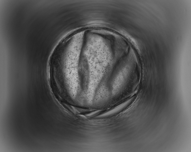 X0000094801376200712071157