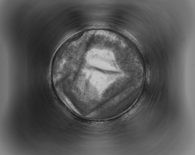 X0000094801378200712071157