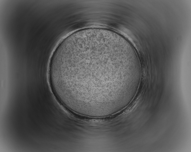 X0000094801379200712071157