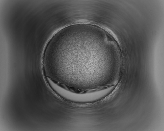 X0000094801381200712071157