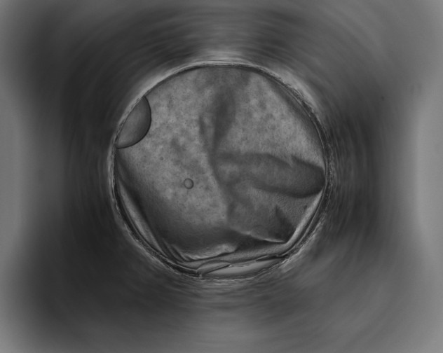 X0000094801382200712071157