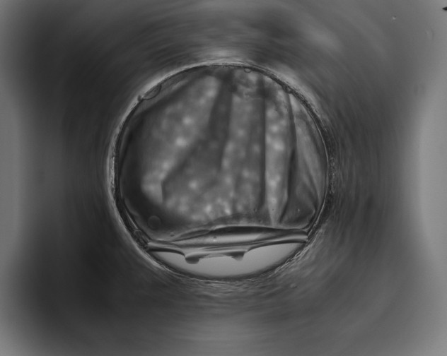 X0000094801383200712071157