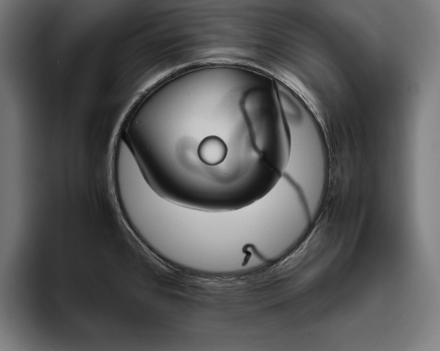 X0000094801384200712071156