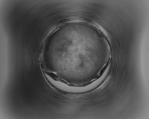 X0000094801385200712071156