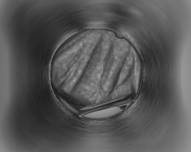 X0000094801386200712071156