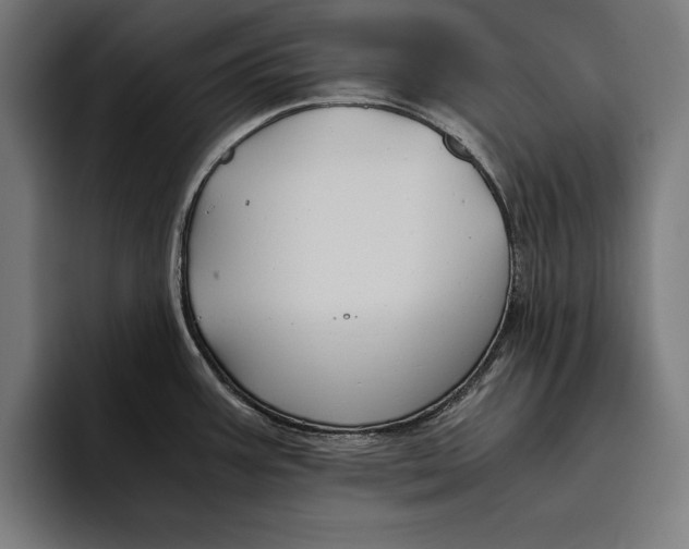 X0000094801387200712071156