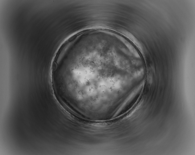 X0000094801388200712071156