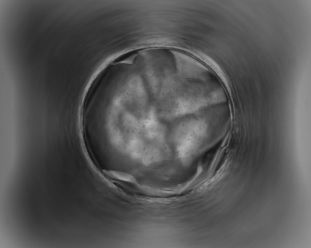 X0000094801389200712071156