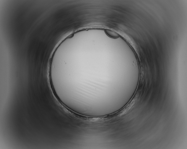 X0000094801390200712071156