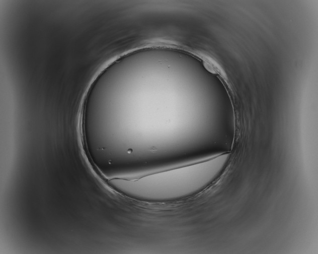 X0000094801391200712071156