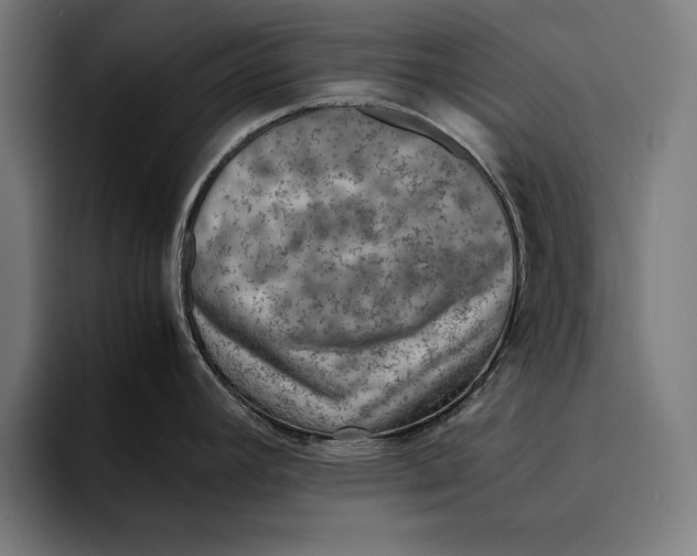 X0000094801392200712071156