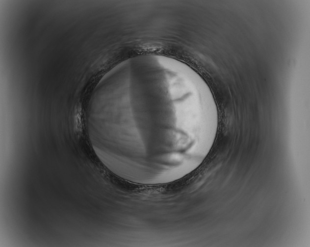 X0000094801394200712071156