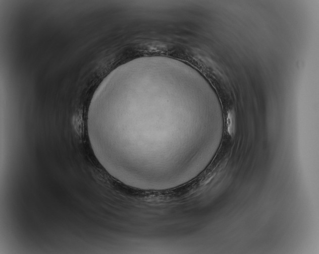 X0000094801395200712071156