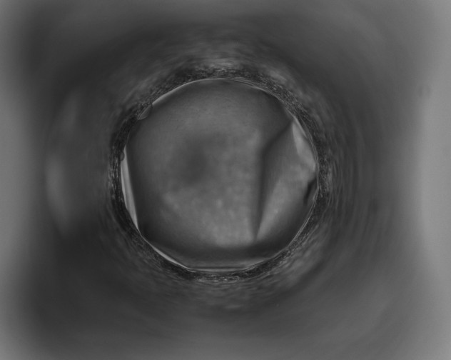 X0000094801397200712071156