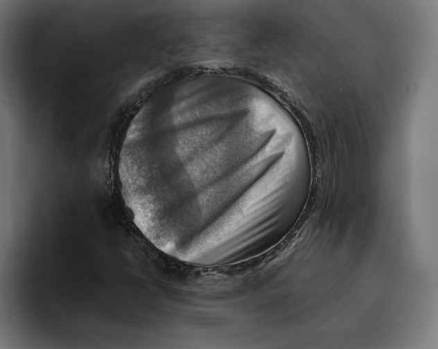 X0000094801398200712071156