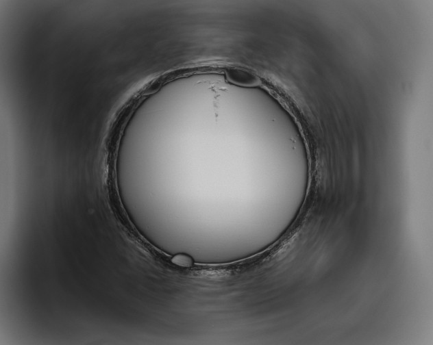 X0000094801406200712071156