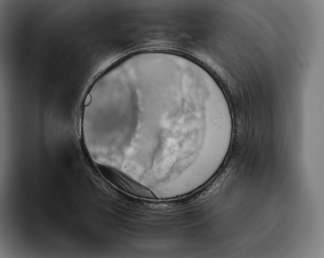 X0000094801413200712071156