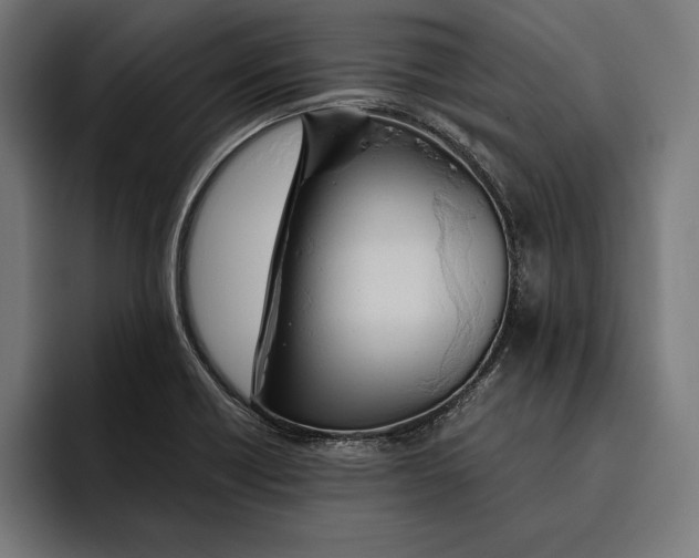 X0000094801418200712071156