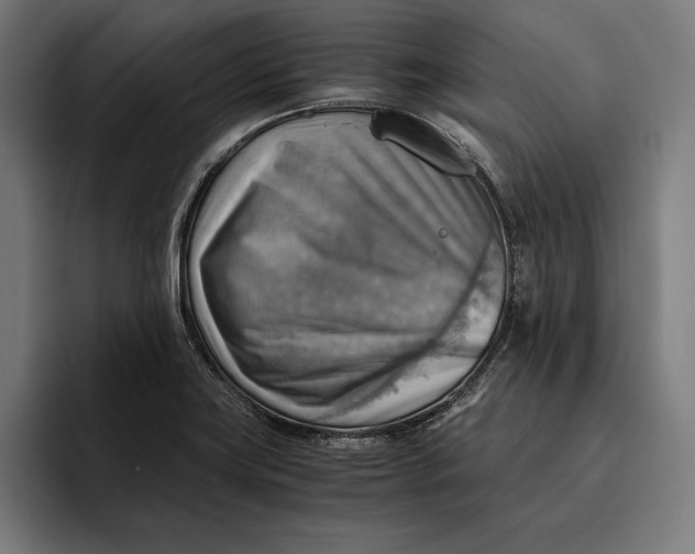 X0000094801419200712071156