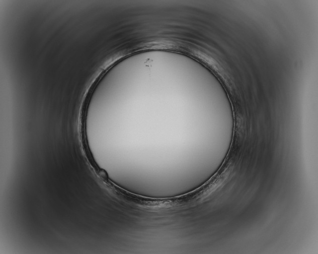 X0000094801426200712071156