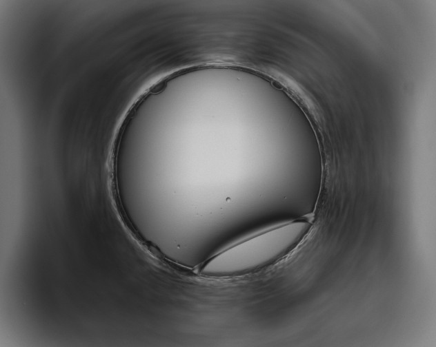 X0000094801432200712071156