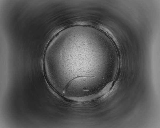 X0000094801433200712071156