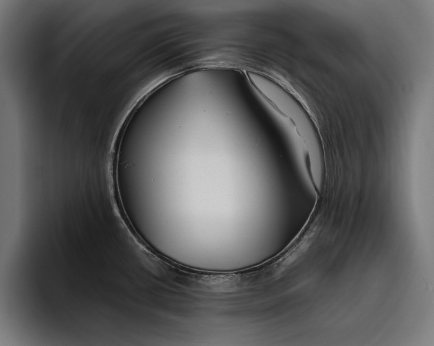 X0000094801434200712071156