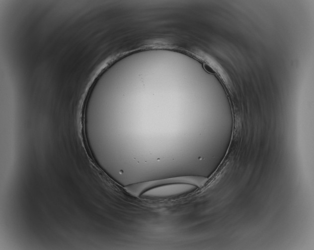 X0000094801435200712071156