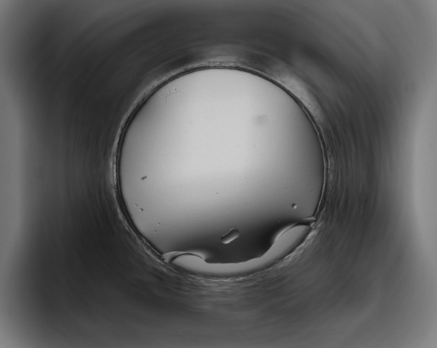 X0000094801436200712071156