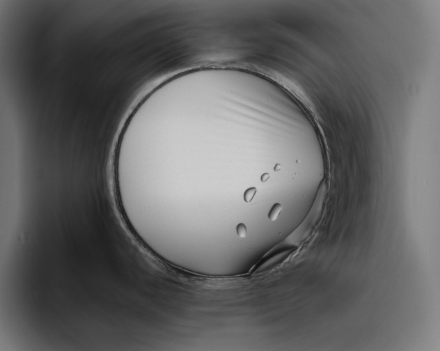 X0000094801440200712071156