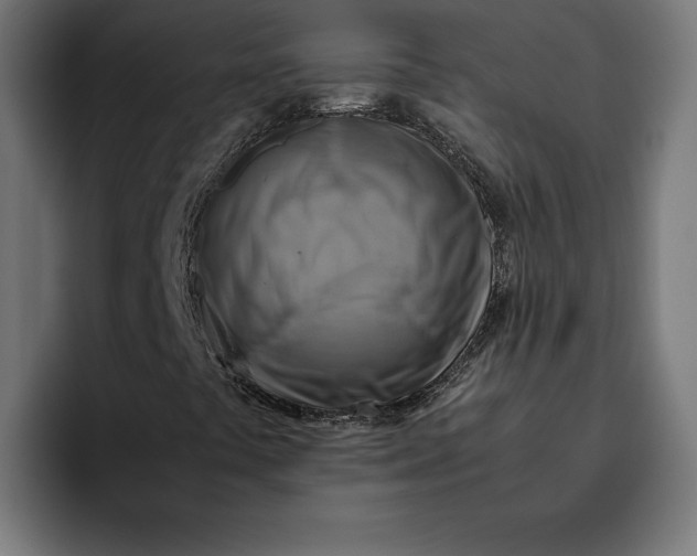 X0000094801441200712071156