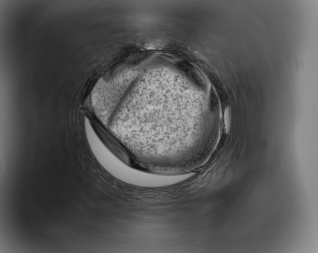 X0000094801443200712071156