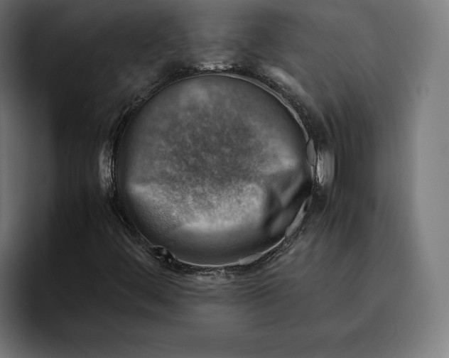 X0000094801444200712071156