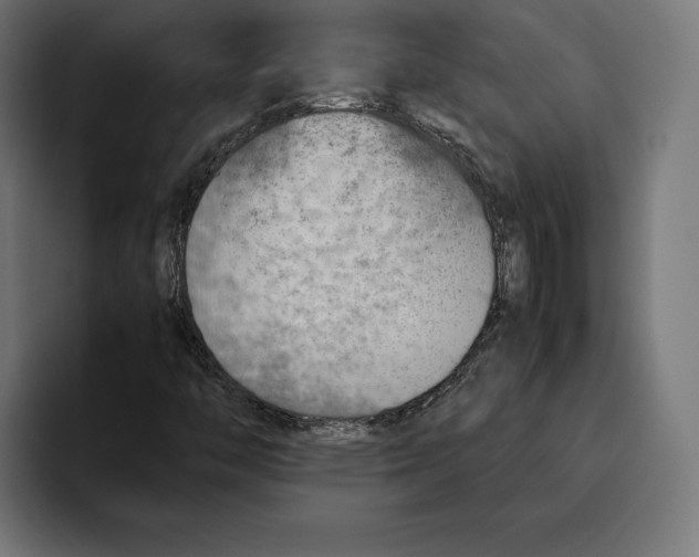 X0000094801446200712071156