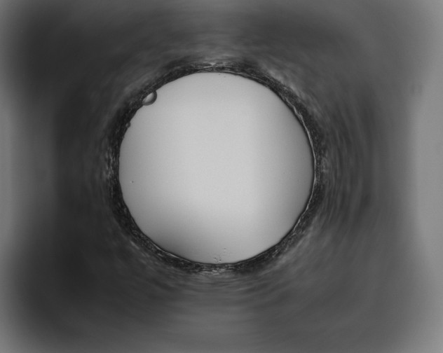 X0000094801447200712071156