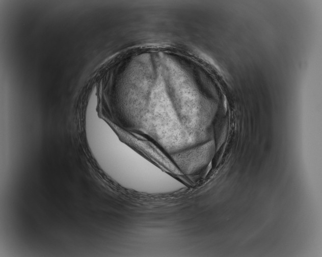 X0000094801448200712071156