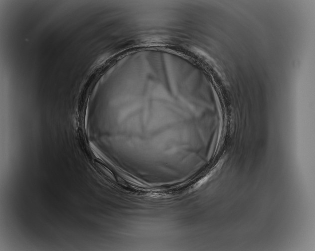 X0000094801449200712071156