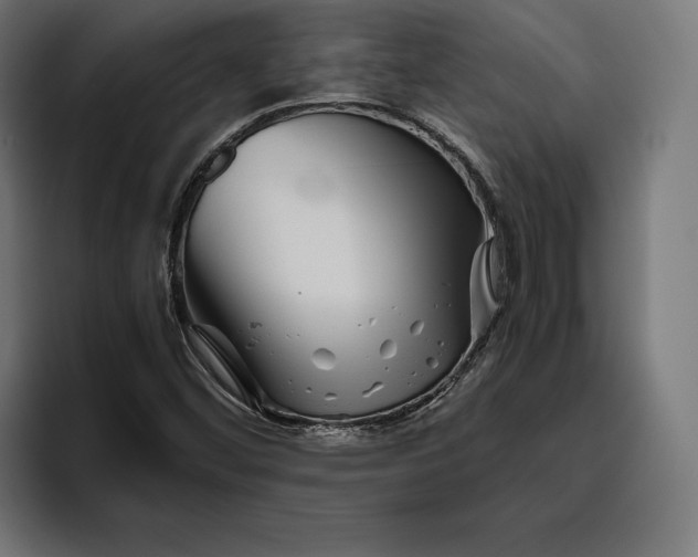 X0000094801452200712071156