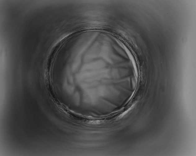 X0000094801453200712071156