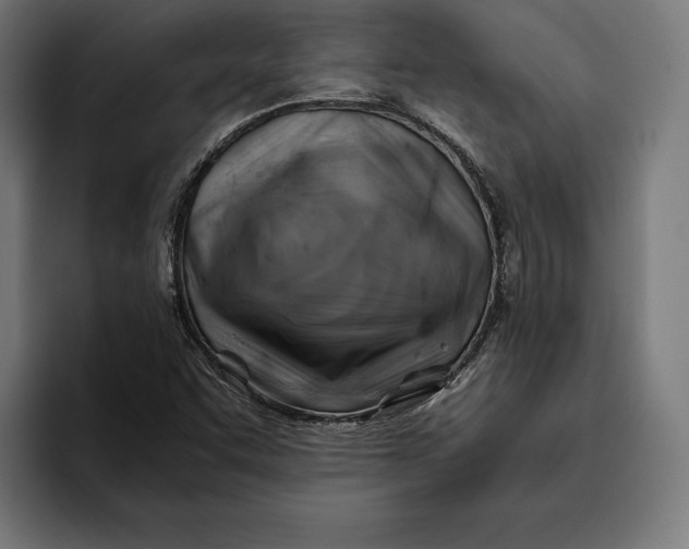 X0000094801455200712071156