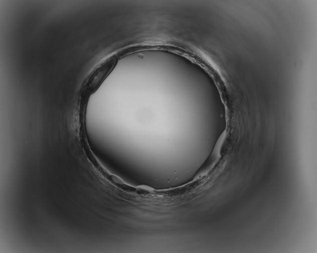 X0000094801456200712071156