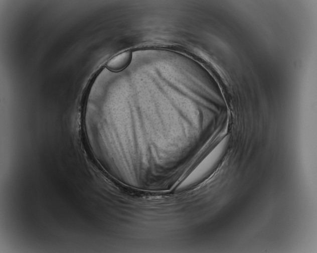 X0000094801459200712071156