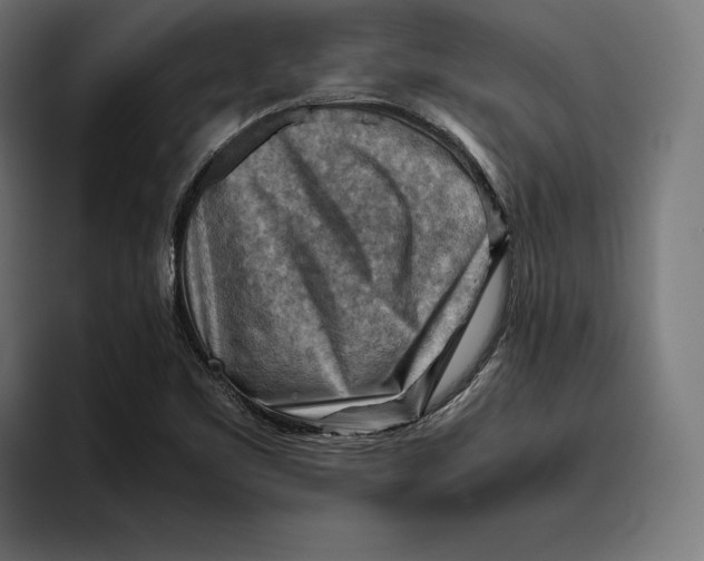 X0000094801461200712071155