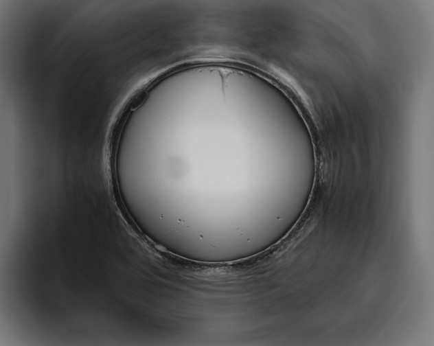 X0000094801464200712071155