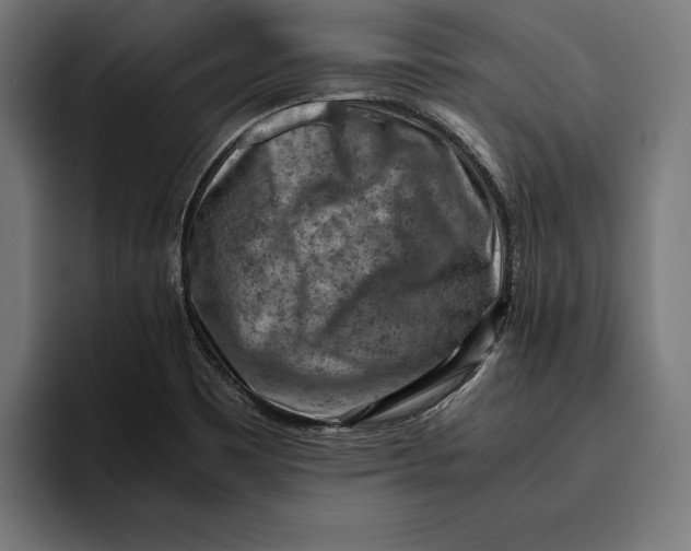 X0000094801465200712071155