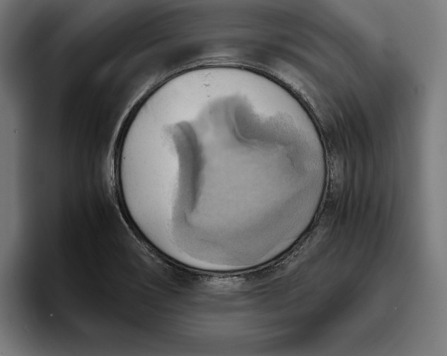 X0000094801466200712071155