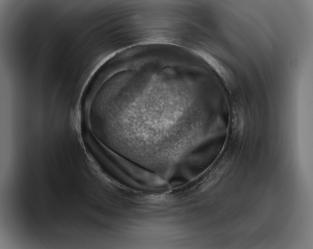 X0000094801468200712071155