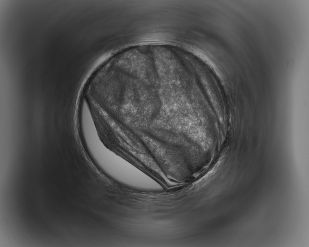 X0000094801469200712071155