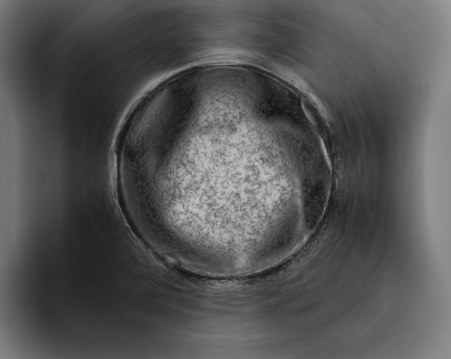 X0000094801472200712071155