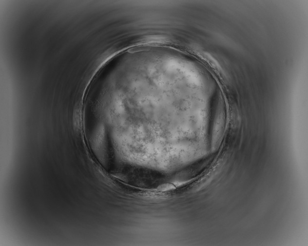 X0000094801473200712071155